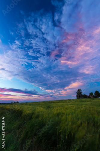Fototapeta Naklejka Na Ścianę i Meble -  Warm summer sunset over fields and meadows