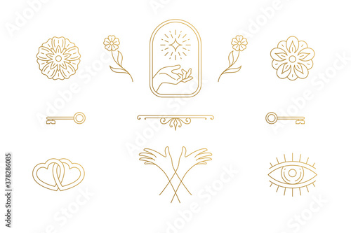 Vector line elegant decoration design elements set - flowers and gesture hands illustrations minimal linear style