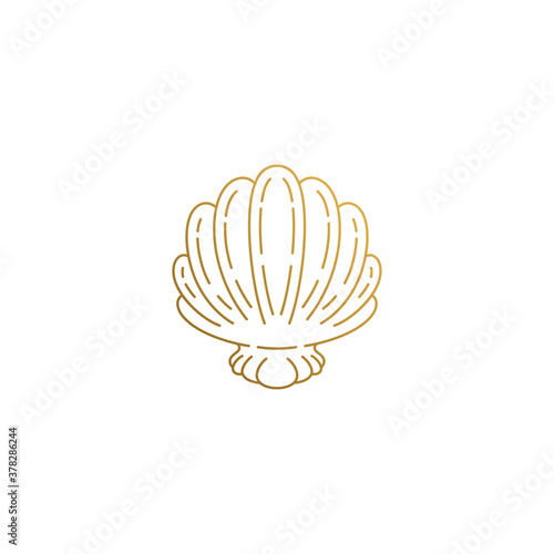 Vector icon of elegant seashell hand drawn with thin lines