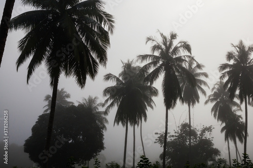 countryside with fog in  morning.