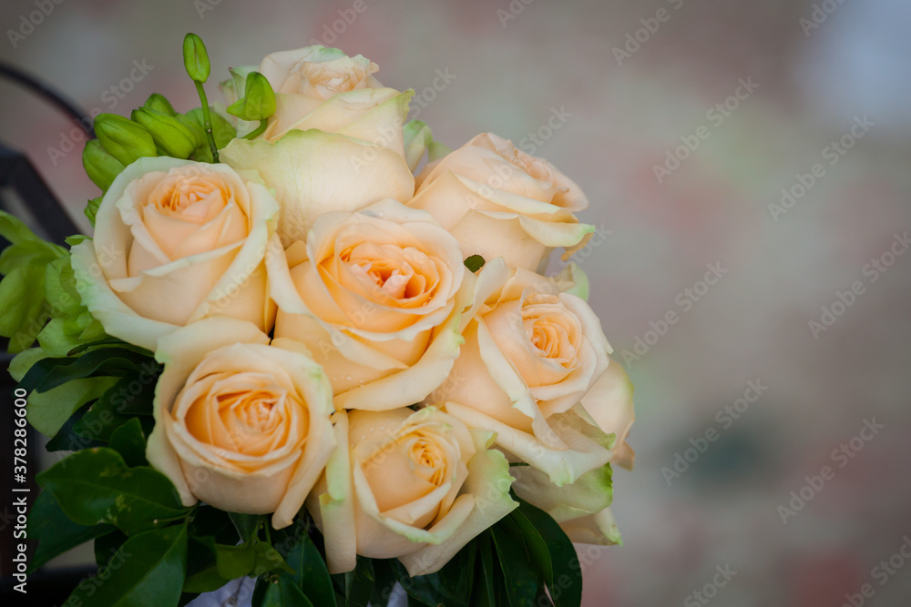 bouquet of rose, close up of wedding bouquet bouquet of rose, close up of wedding bouquet