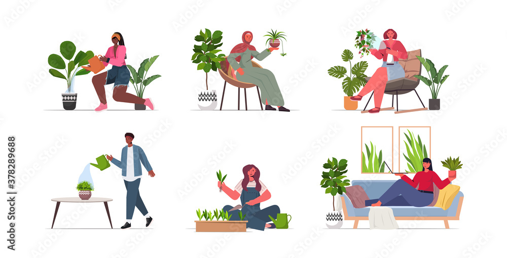 set mix race women taking care of houseplants mix race housewives collection full length vector illustration