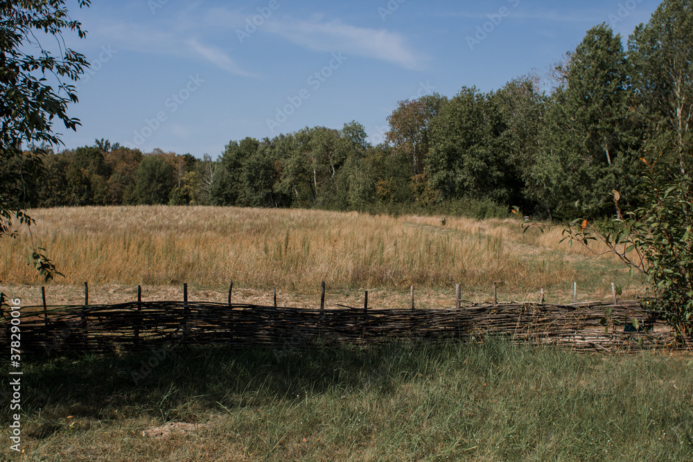 old wooden fence in a clearing in the village