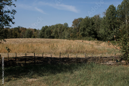 Fototapeta Naklejka Na Ścianę i Meble -  old wooden fence in a clearing in the village