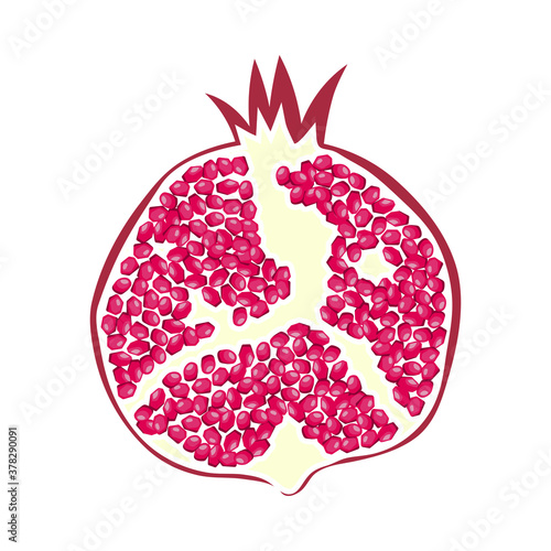 Icon Of Pomegranate In Ui Colors