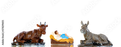 The Baby Jesus in the manger with the ox and the mule