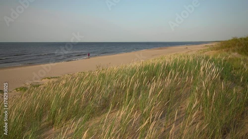 Meditative observation of the surf on a sandy Baltic beach. In September, the sea of the Gulf of Riga is deserted. The wind is playing with tall grass in the dunes. The season is over. Latvia