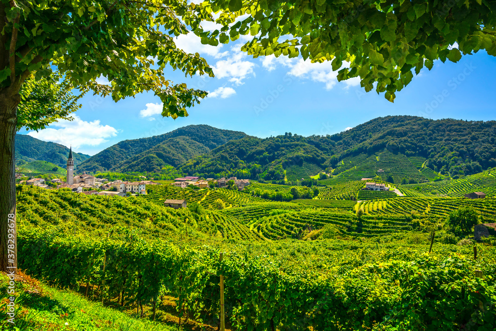 Prosecco Hills, vineyards and Guia village. Unesco Site. Valdobbiadene, Veneto, Italy