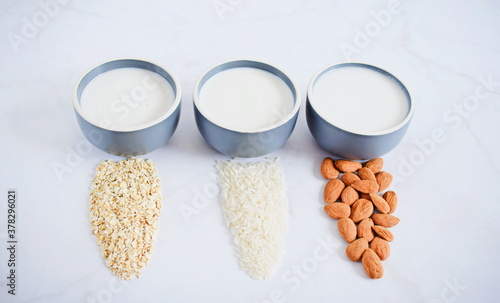 Bilde på lerret Vegan non-dairy milks assortment, various nut milks with ingredients, front view