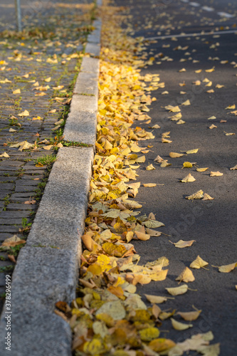 Curbstone in autumn with lots of colorful foliage photo