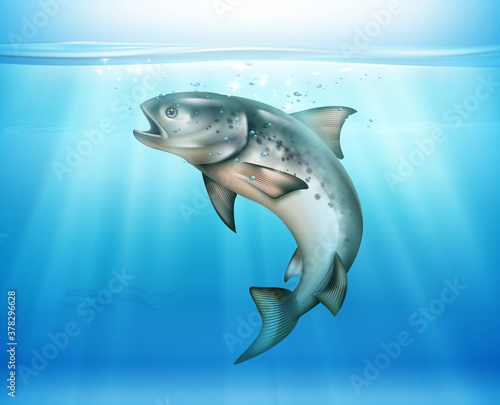 Fish Underwater Realistic Background