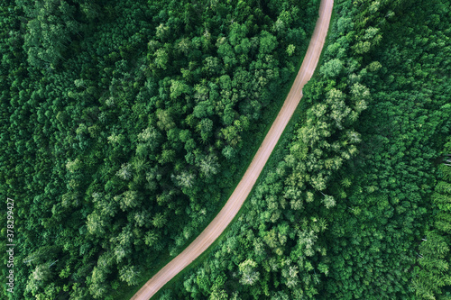 Wallpaper Mural Aerial view of the dirt road passing through the forest Torontodigital.ca