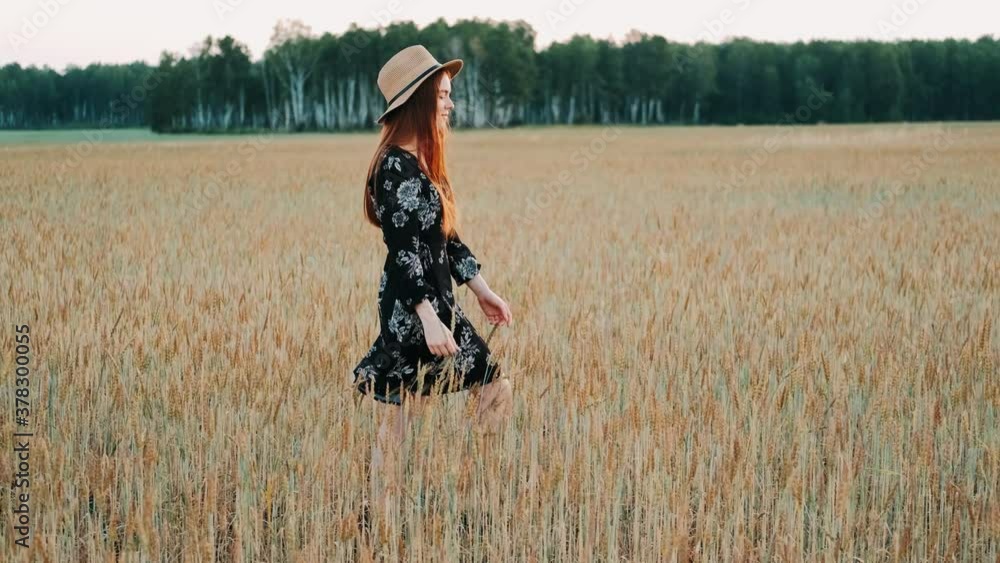 Young girl happily walking in slow motion through a field touching with hand wheat ears. Beautiful carefree woman enjoying nature and sunlight in wheat field at incredible colorful sunset. Freedom Young girl happily walking in slow motion through a field touching with hand wheat ears. Beautiful carefree woman enjoying nature and sunlight in wheat field at incredible colorful sunset. Freedom