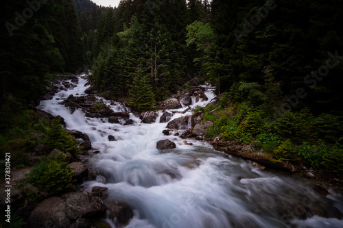 mountain river in a beautiful ancient forest. North Caucasus  Dombai  Russia  Baduk River