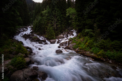 mountain river in a beautiful ancient forest. North Caucasus, Dombai, Russia, Baduk River