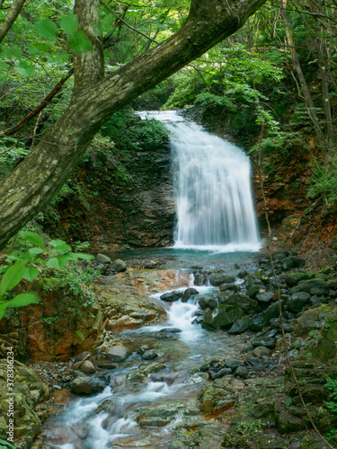 Waterfalls in the forest on mountain (Tochigi, Japan)