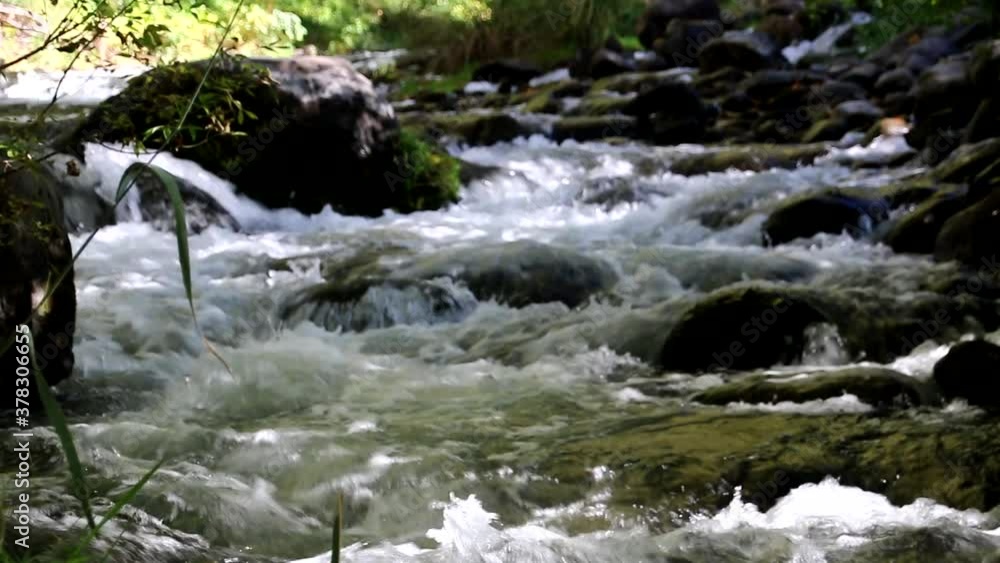 Multiple streams of white water dominate the frame set off by a wooded background and pattern enhancing river rock. Multiple streams of white water dominate the frame set off by a wooded background and pattern enhancing river rock.