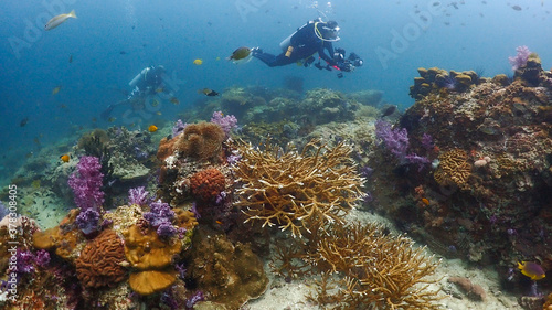 Lipe stoneheange underwater paradise of undaman sea