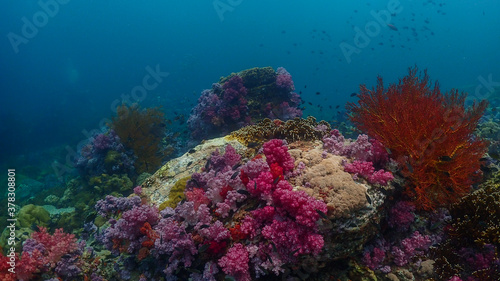 Fototapeta Naklejka Na Ścianę i Meble -  Lipe stoneheange underwater paradise of  undaman sea