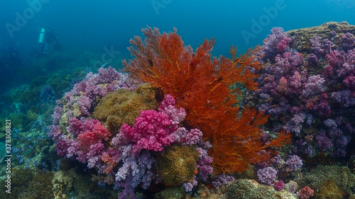 Lipe stoneheange underwater paradise of  undaman sea © Rainan