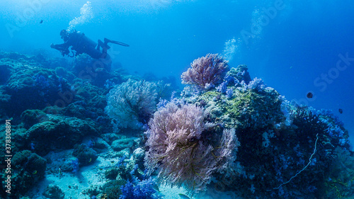 Lipe stoneheange underwater paradise of  undaman sea photo