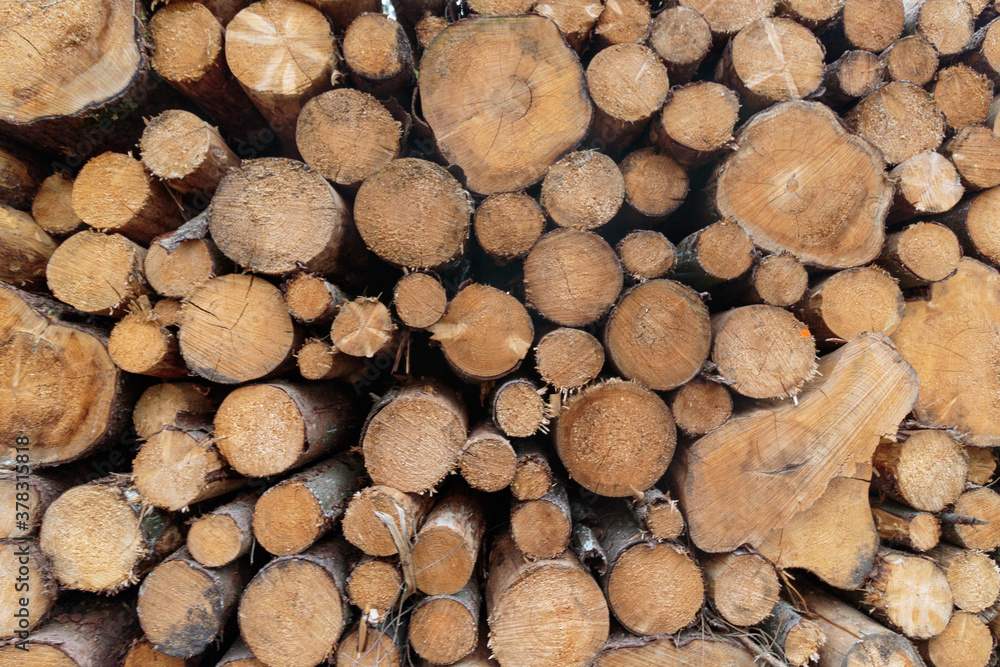 Close up of stack of wooden logs Close up of stack of wooden logs