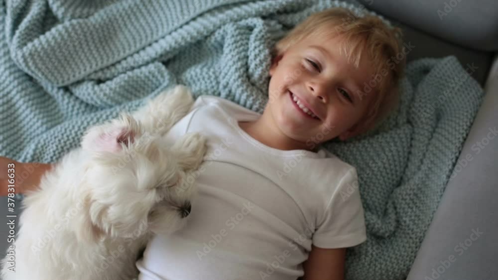 Little toddler child, boy, lying in bed with pet dog, little maltese puppy dog Little toddler child, boy, lying in bed with pet dog, little maltese puppy dog