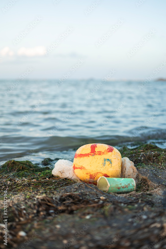 Naklejka premium plastic pollution on the beach and dead crustaceans
