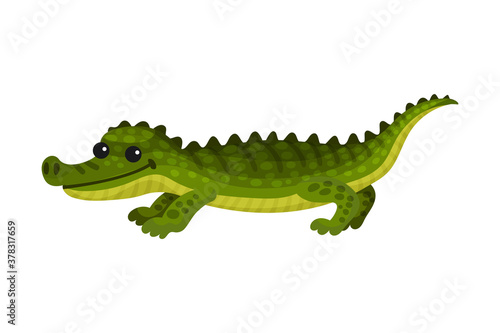 Alligator Crocodile with Long Tail and Sharp Teeth as African Animal Vector Illustration
