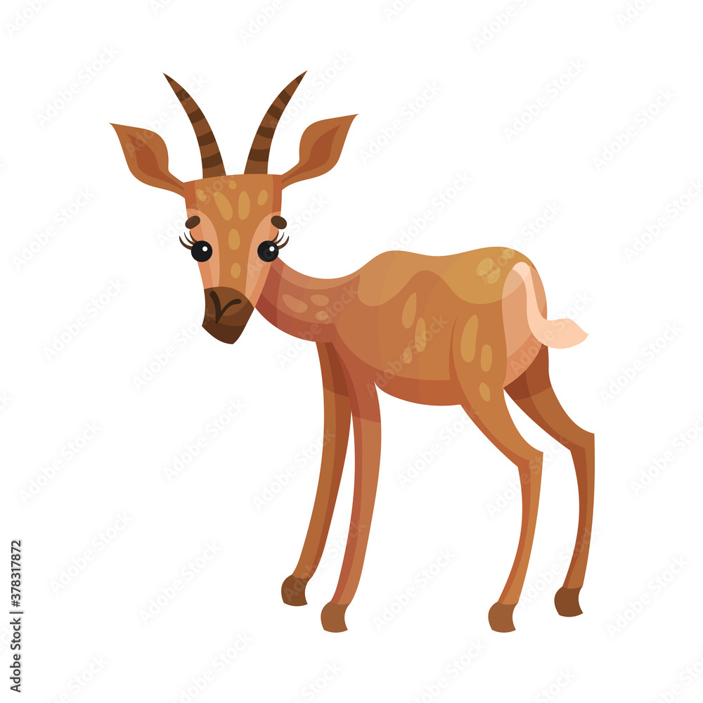 Fototapeta premium Gazelle or Antelope with Horns as African Animal Vector Illustration