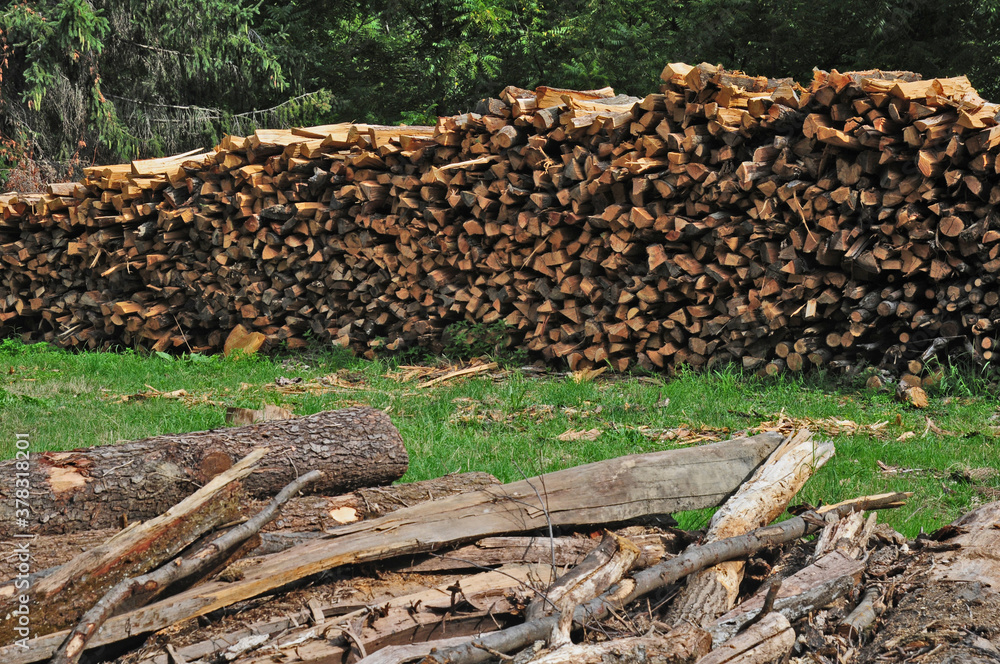 Foresta della Serra Morenica fra Zimone e Magnano - Biella Foresta della Serra Morenica fra Zimone e Magnano - Biella