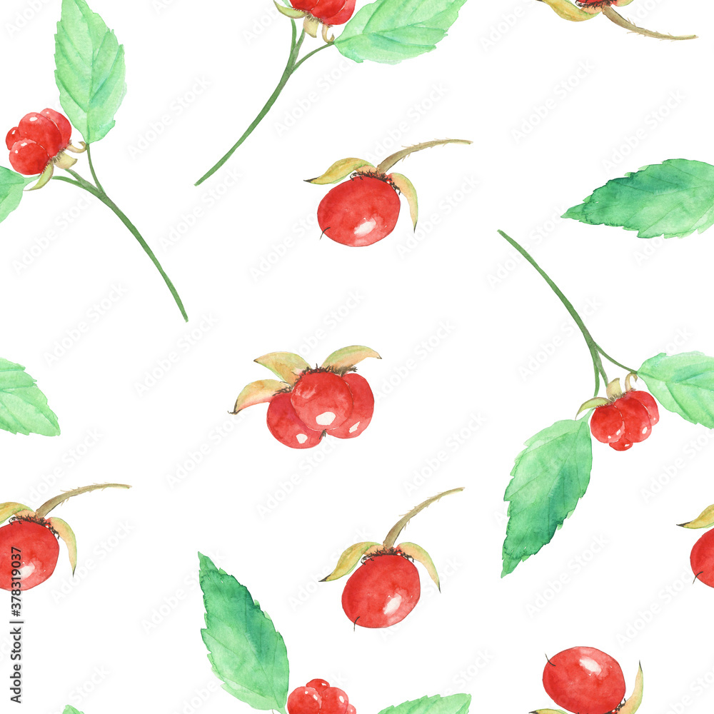 Red berry or stone bramble berries in seamless pattern on white background. Watercolor hand drawn illustration for digital paper, textile, cover, card, print. Cute summer design. Red berry or stone bramble berries in seamless pattern on white background. Watercolor hand drawn illustration for digital paper, textile, cover, card, print. Cute summer design.