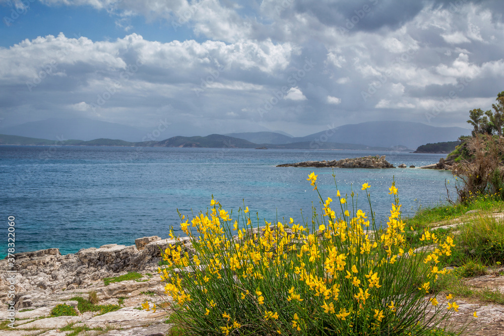 Beautiful summer landscape with sea lagoon, rocks and cliffs, green bushes and yellow flowers on the coast, mountains on the horizon and clouds on the sky.