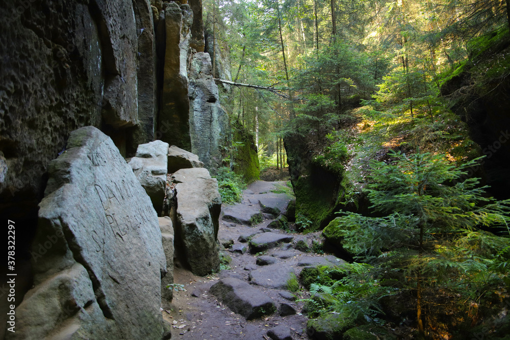 The hiking trail 