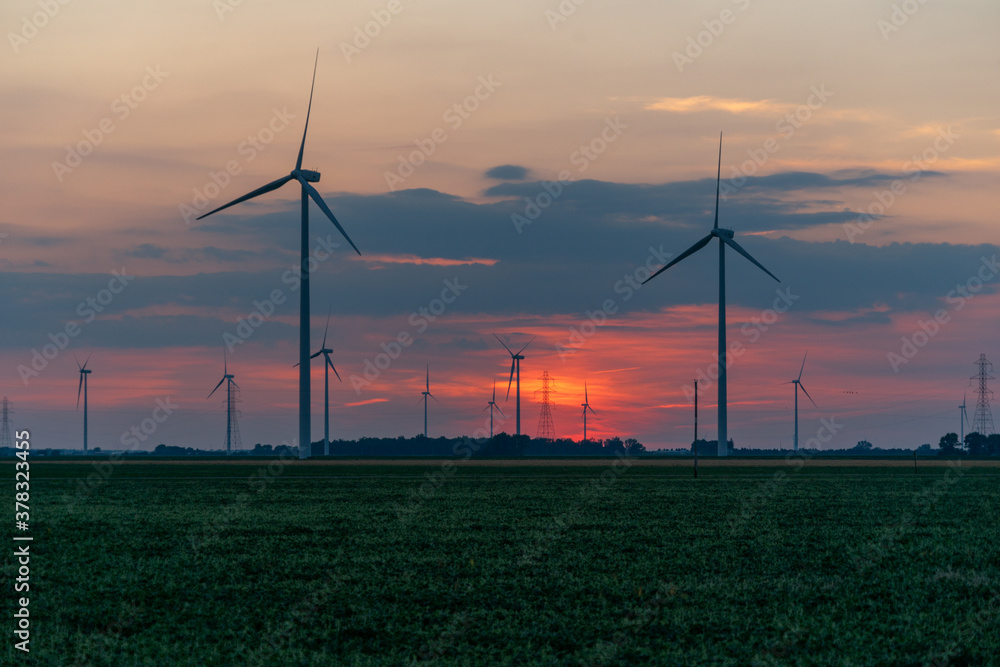 Obraz premium Wind turbines / wind mills/ wind power with high power wires / lines partially silhouetted by a sun rise / sunset. Flat midwest farm fields for foreground.