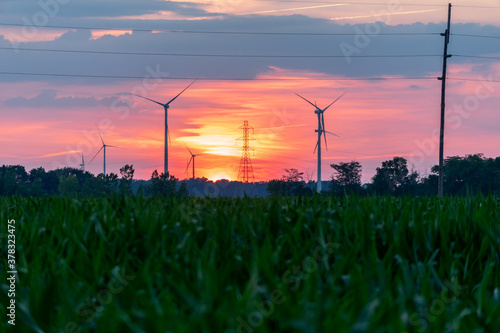 Wind turbines / wind mills/ wind power with high power wires / lines partially silhouetted by a sun rise / sunset.  Flat midwest farm fields for foreground.