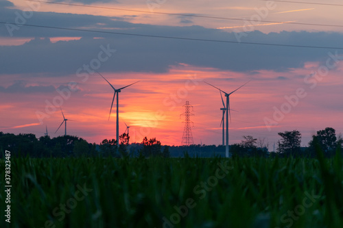 Wind turbines / wind mills/ wind power with high power wires / lines partially silhouetted by a sun rise / sunset.  Flat midwest farm fields for foreground.
