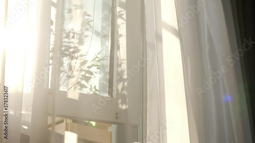 transparent curtain on the window, gently moved by the wind. sunlight. sun's rays shine through the transparent tulle