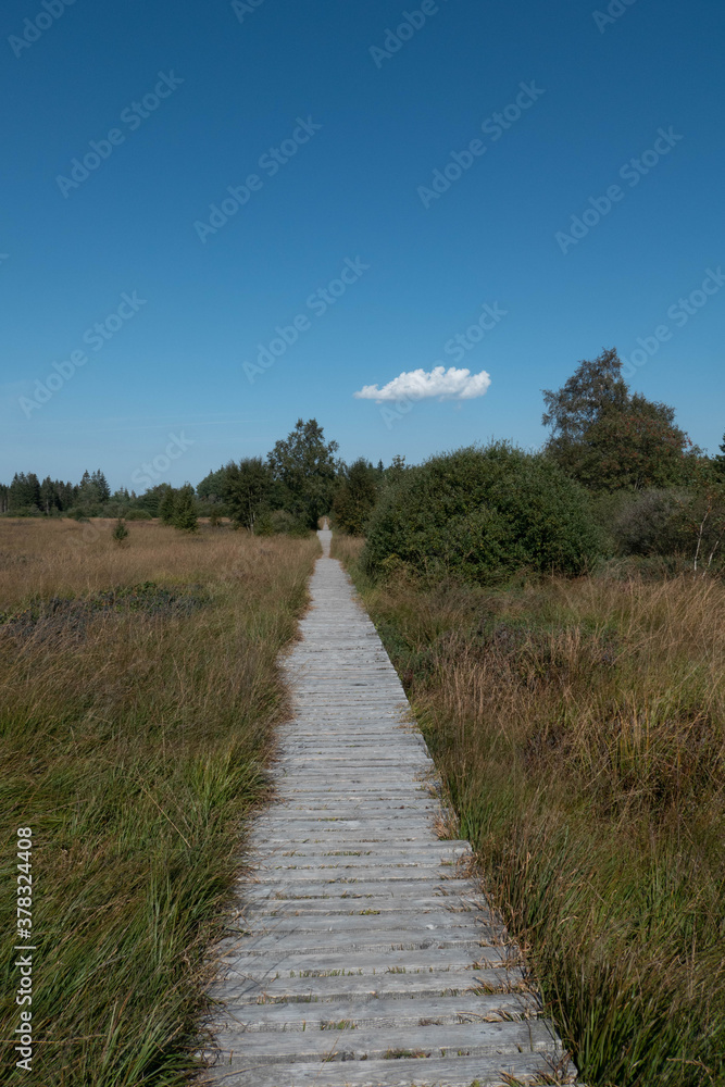 Moorlandschaft mit Holzstegen - das Brackevenn bei Mützenich