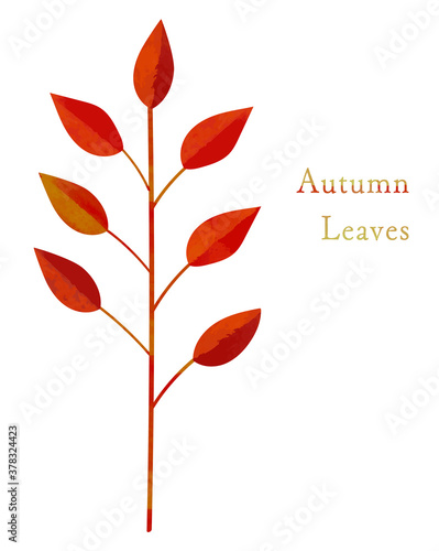 秋_バイカラーの紅葉した植物_水彩＆切り絵風イラスト
