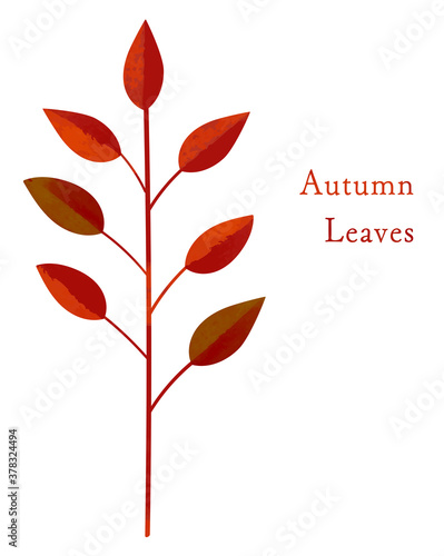 秋_バイカラーの紅葉した植物_水彩＆切り絵風イラスト