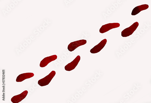 blood trail of rose petals on a light background