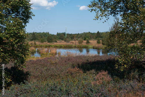 Sumpflandschaft im Hohen Venn mit Wassertümpeln - Brackevenn bei Mützenich photo