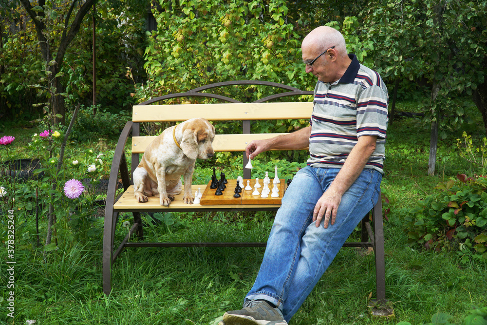 An elderly man plays chess with himself, and the dog sits opposite and looks. An elderly man plays chess with himself, and the dog sits opposite and looks.