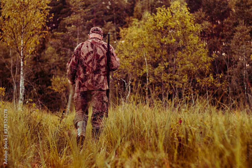 hunter with a gun walks through a clearing in the forest against the background of the bright sunset in autumn