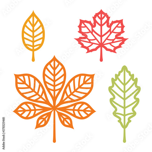 Autumn leaves set. Templates for laser cutting. Vector illustration of maple, oak, elm and chestnut leaf isolated on white.
