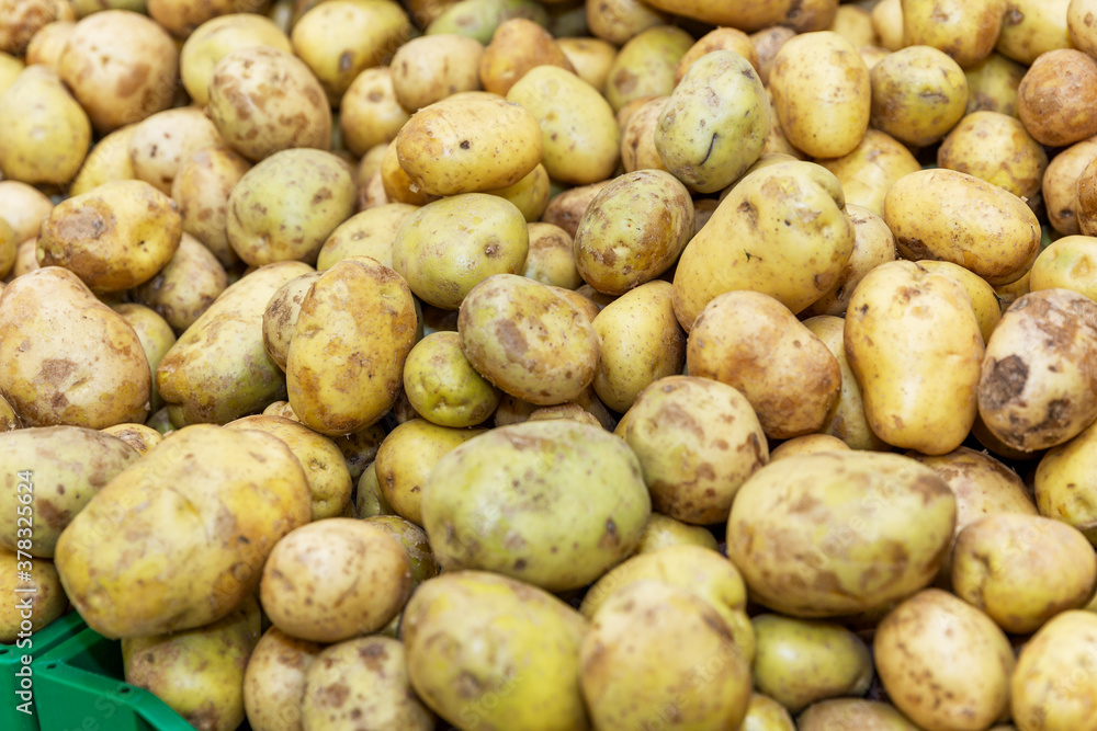 Potatoes on the counter in the vegetable section of the supermarket. Close-up. Background. Potatoes on the counter in the vegetable section of the supermarket. Close-up. Background.
