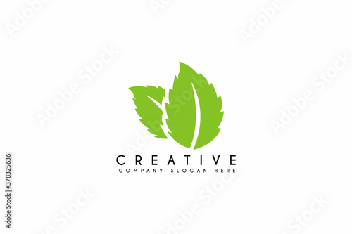 Fresh mint leaves logo design on white background. Vector illustration