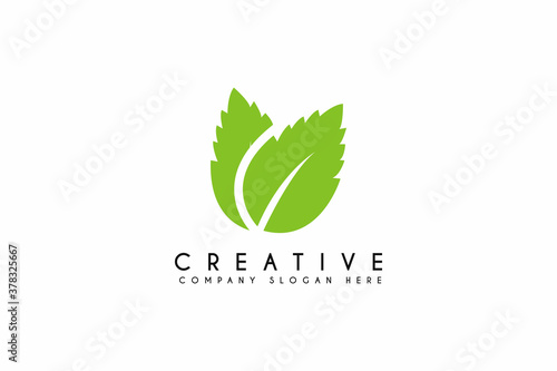 Fresh mint leaves logo design on white background. Vector illustration