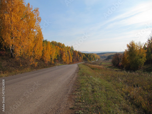 autumn road